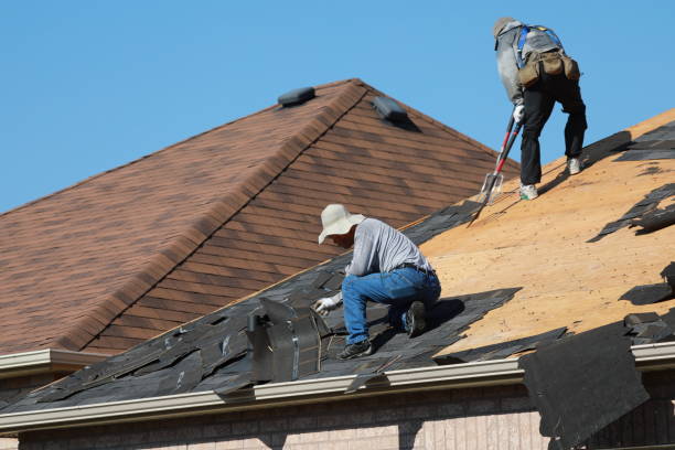 Best Asphalt Shingle Roofing  in Oronogo, MO